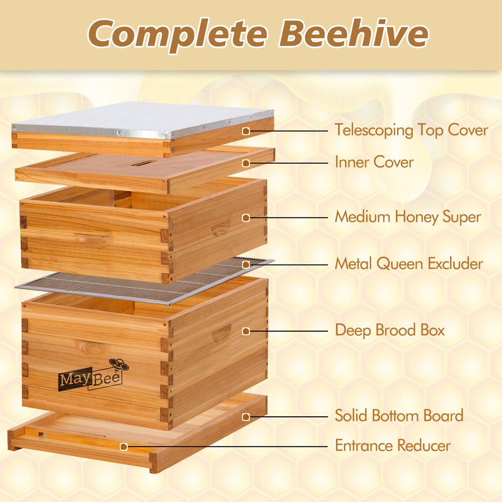 MayBee BeeKeeper Essentials Kit Beeswax Coated 10 Frame 2 Layer Beehive ...