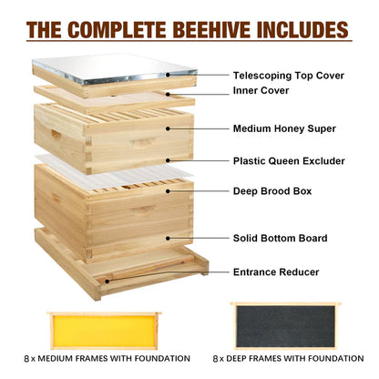 MayBee Hives 8 Frame Hive Kit, Includes Pine Wooden Frames & Beeswax Plastic Foundation, 1 Deep Box, 1 Medium Box
