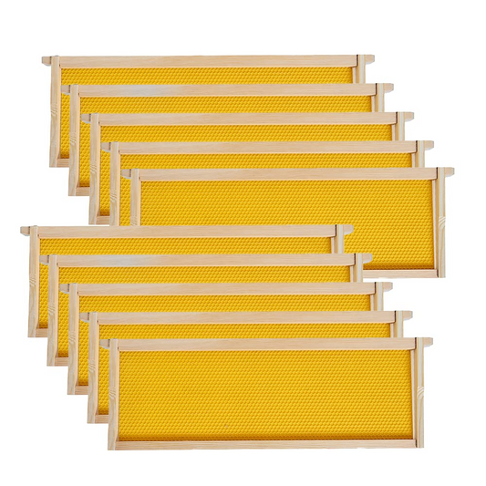 MayBee Hives 10 Pack Super Beehive Frames and Foundations,100% Beeswax Coated Food Grade Foundation Sheets