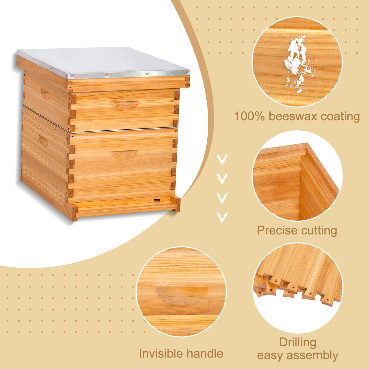 beginner beehive kits