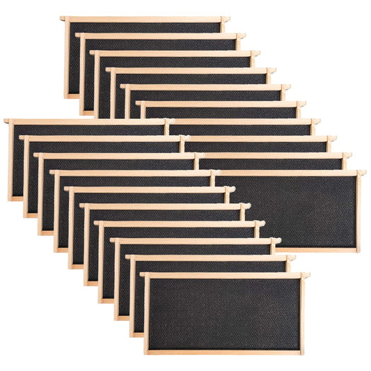 20 Pack 9 1/8" Deep Frames With Foundation