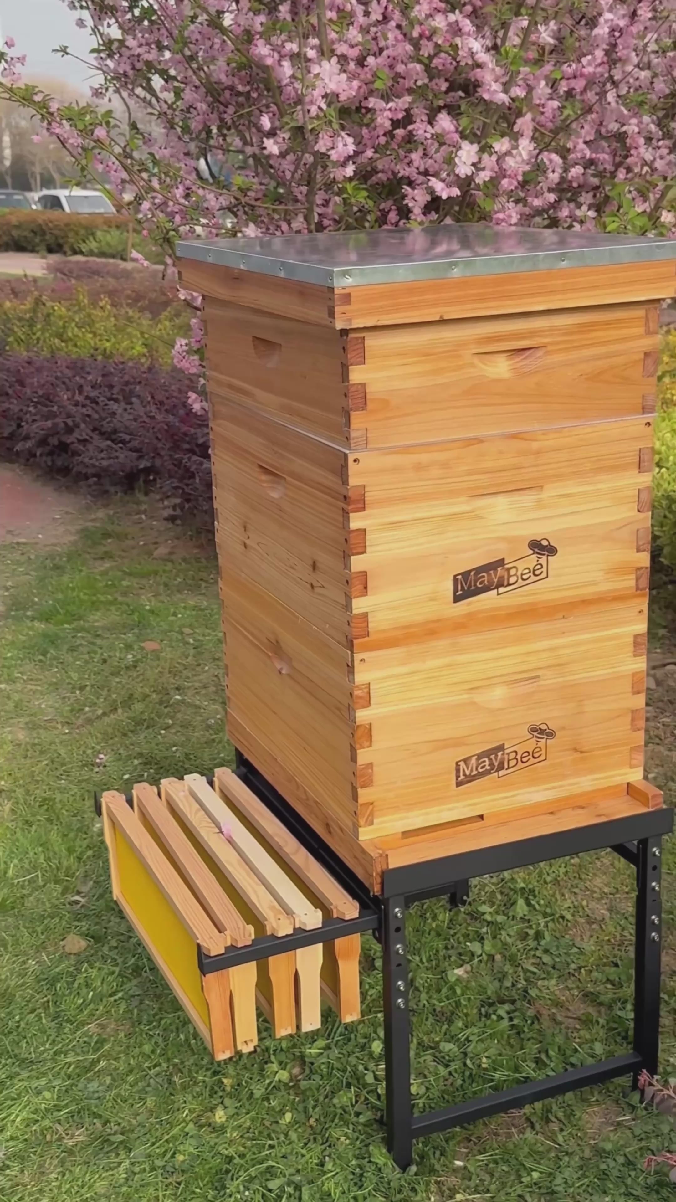 MayBee Hives 10 Frame Complete Cedar Wood Beehive Kits Include: 2