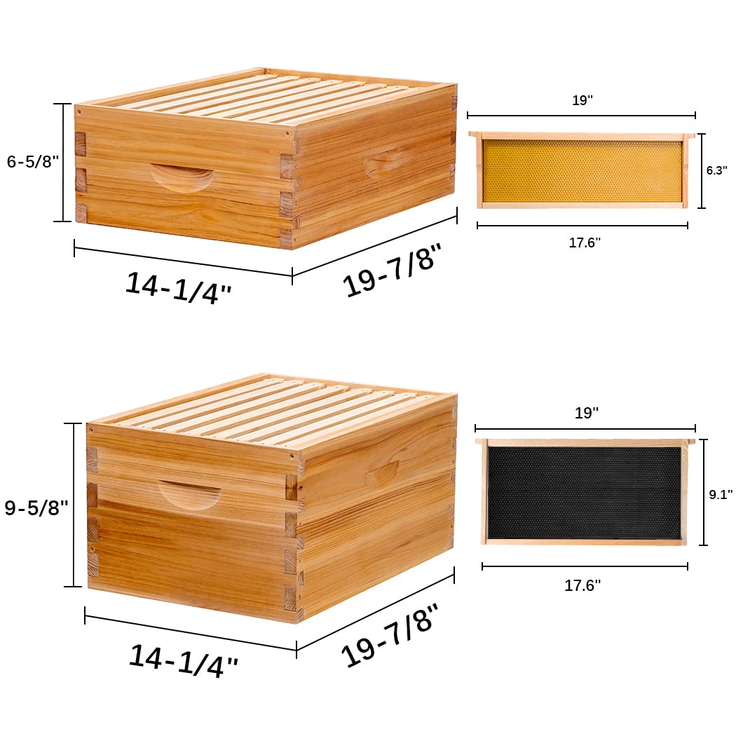 MayBee 10 Frame 2 layer Bee Hives dimension